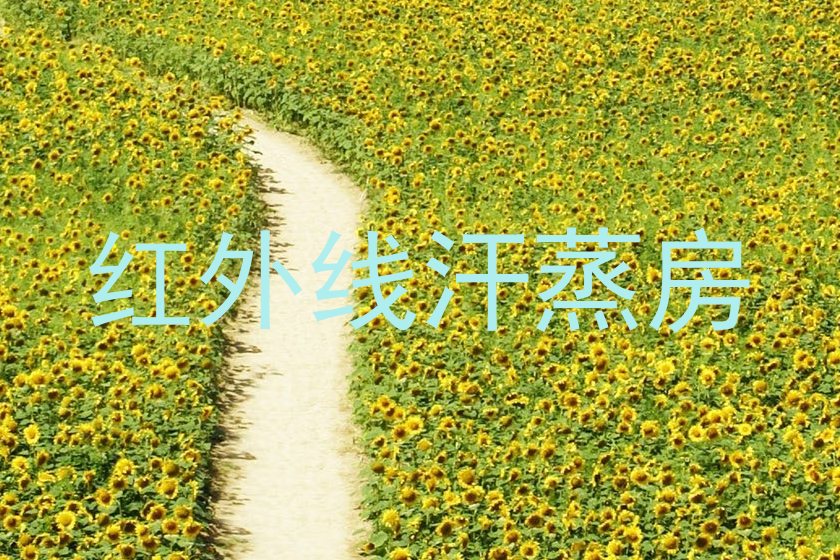 红外线汗蒸房