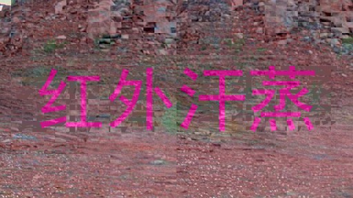 红外汗蒸