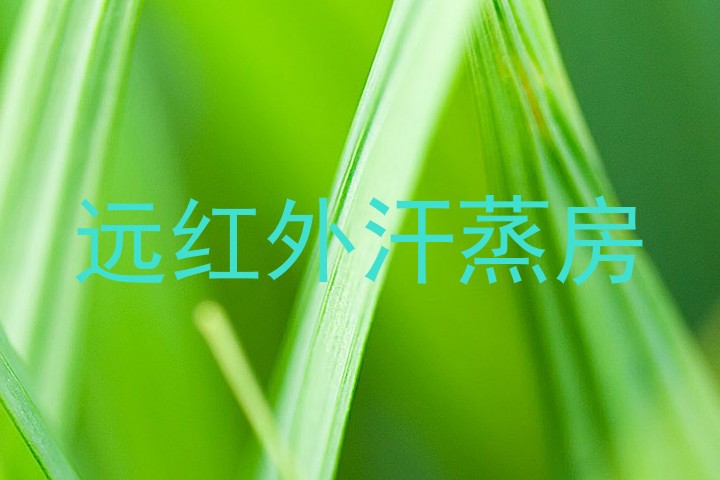 远红外汗蒸房
