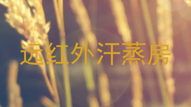 远红外汗蒸房