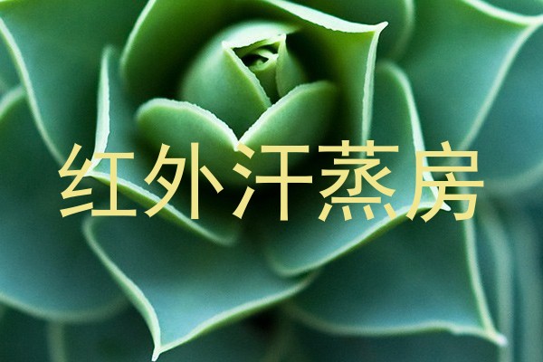 红外汗蒸房