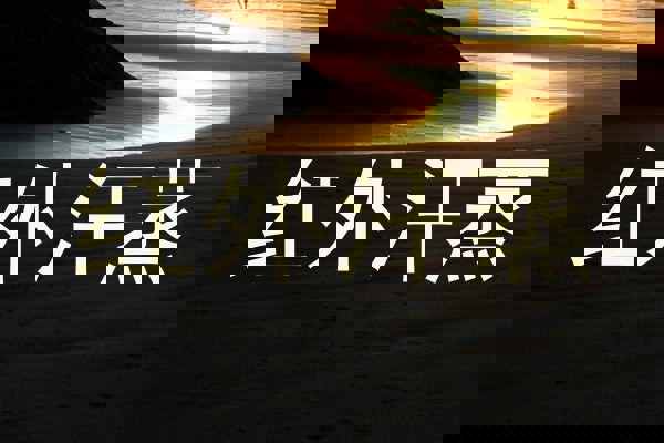 红外汗蒸