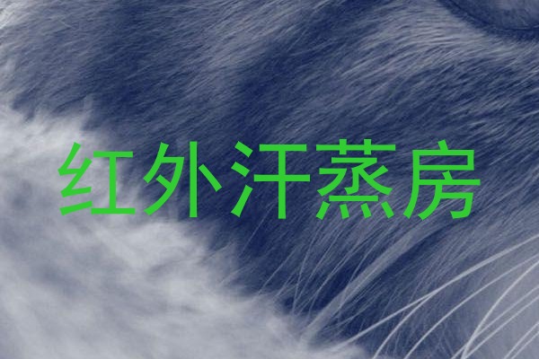 红外汗蒸房