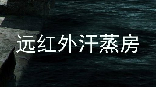 远红外汗蒸房