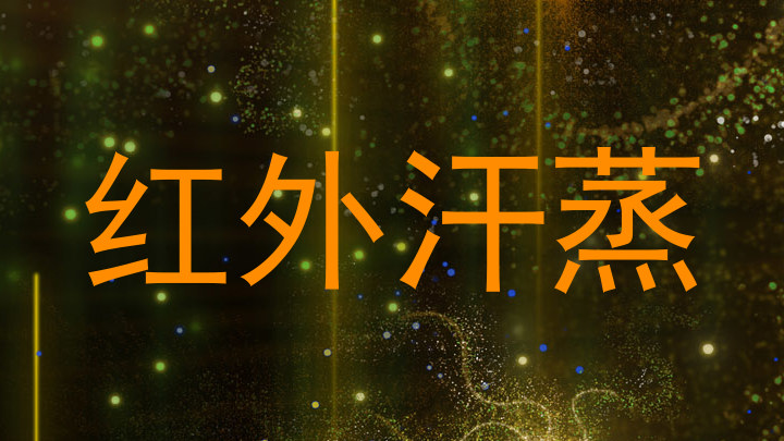 红外汗蒸