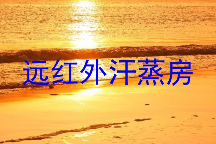 远红外汗蒸房