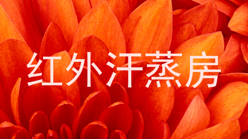 红外汗蒸房