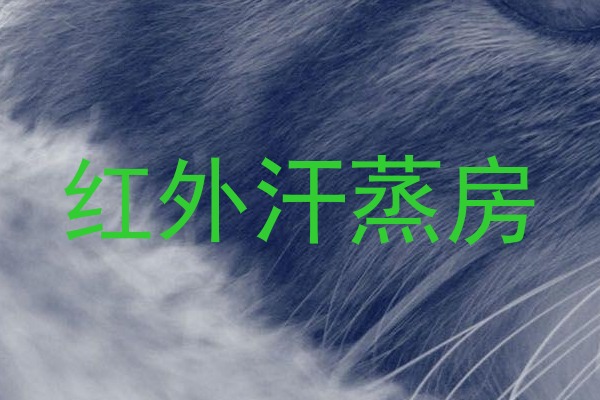 红外汗蒸房