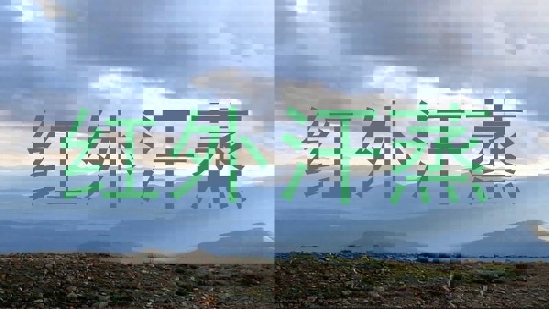 红外汗蒸