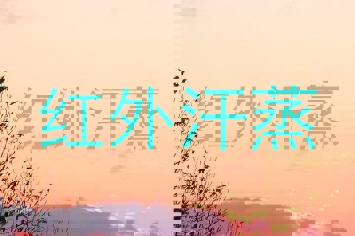 红外汗蒸