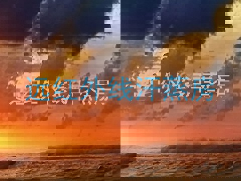 远红外线汗蒸房