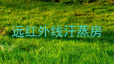 远红外线汗蒸房