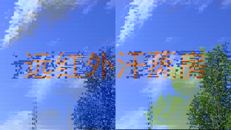 远红外汗蒸房