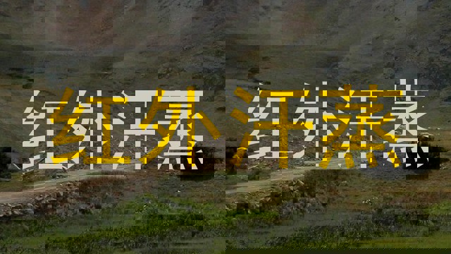 红外汗蒸