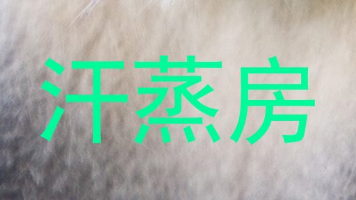 汗蒸房