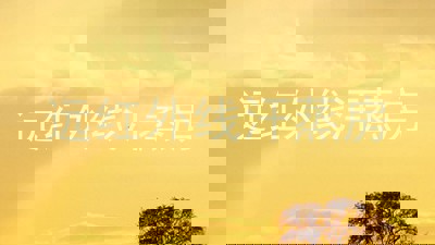 远红外线汗蒸房