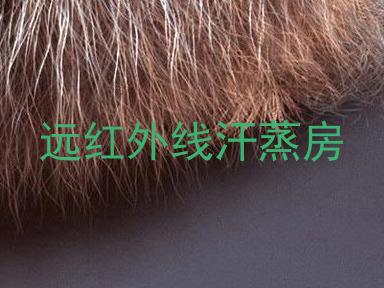 远红外线汗蒸房