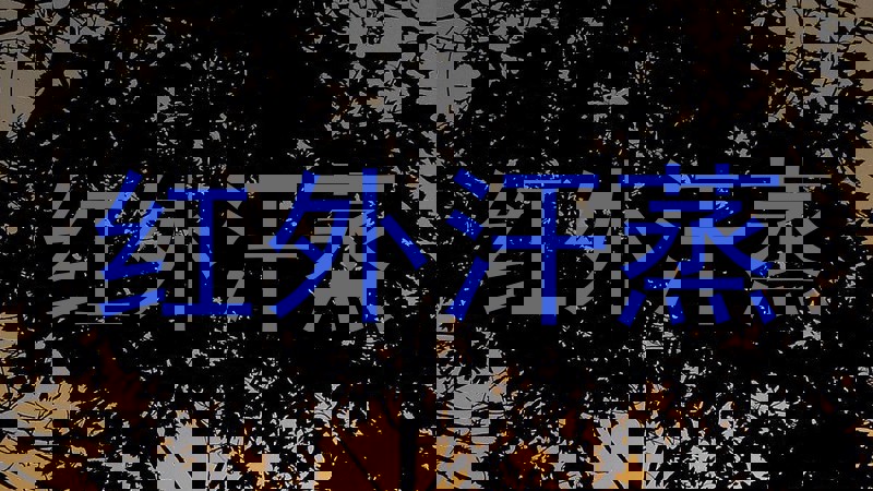 红外汗蒸