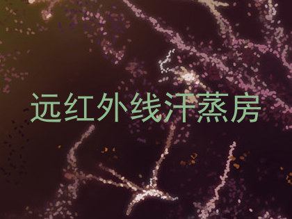 远红外线汗蒸房