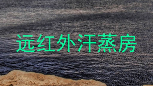 远红外汗蒸房