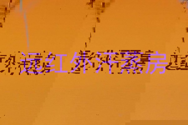 远红外汗蒸房