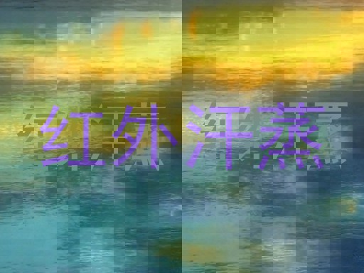 红外汗蒸