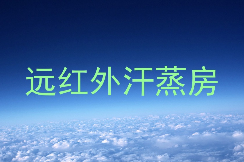 远红外汗蒸房