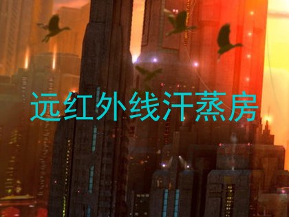 远红外线汗蒸房