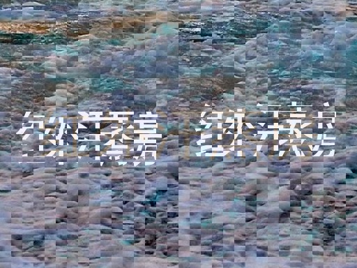 红外汗蒸房