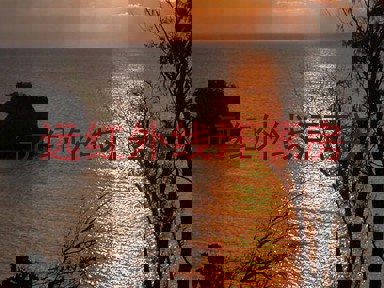 远红外线汗蒸房