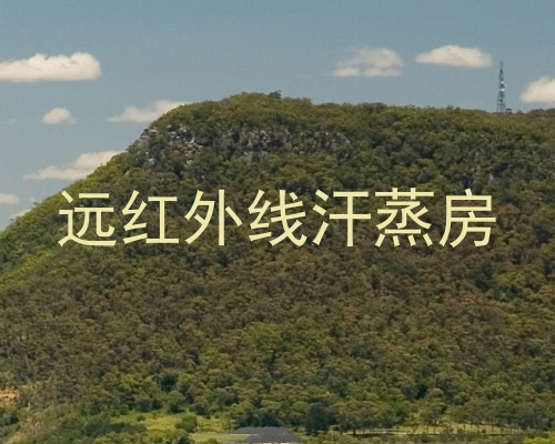 远红外线汗蒸房