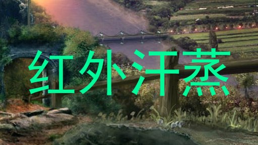 红外汗蒸