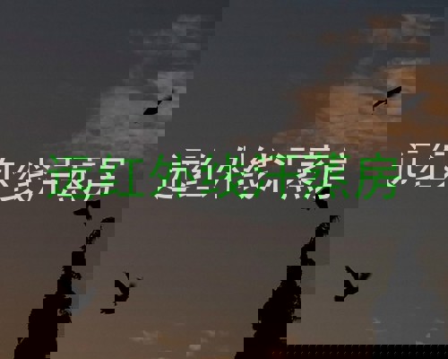 远红外线汗蒸房