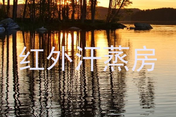 红外汗蒸房