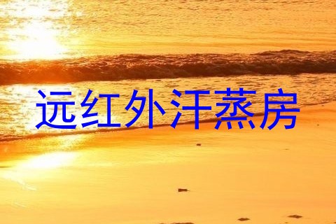 远红外汗蒸房
