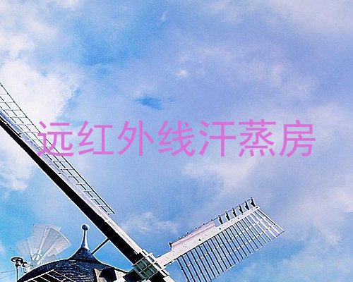 远红外线汗蒸房