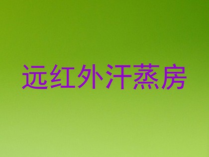 远红外汗蒸房