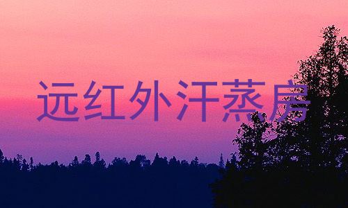 远红外汗蒸房