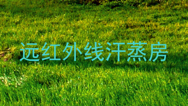 远红外线汗蒸房