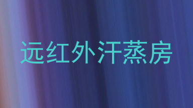 远红外汗蒸房