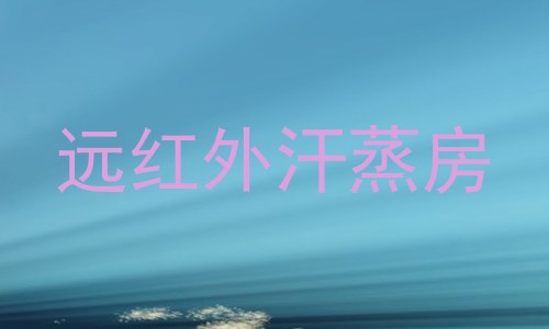 远红外汗蒸房