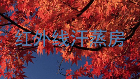 红外线汗蒸房