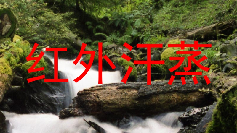 红外汗蒸