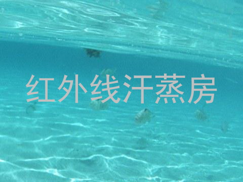 红外线汗蒸房