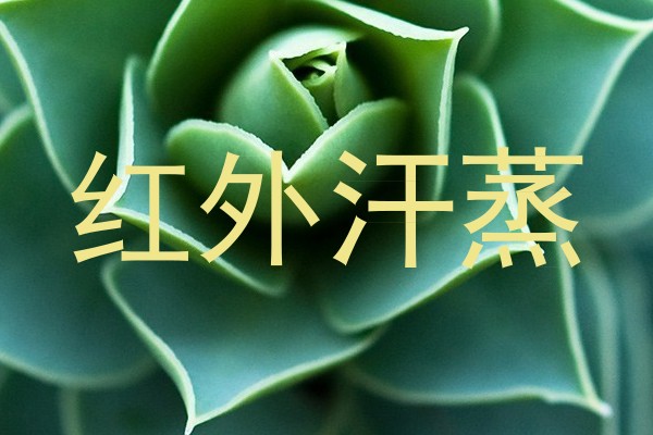 红外汗蒸