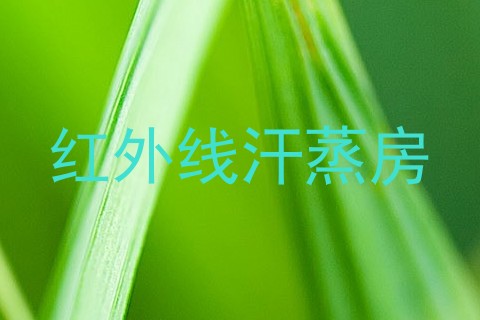 红外线汗蒸房