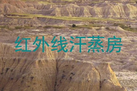 红外线汗蒸房