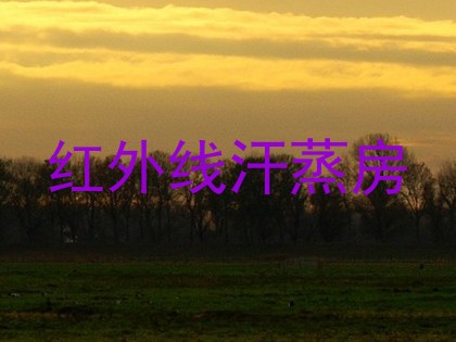 红外线汗蒸房