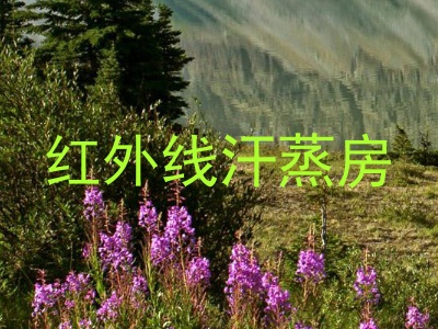 红外线汗蒸房