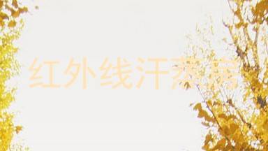 红外线汗蒸房